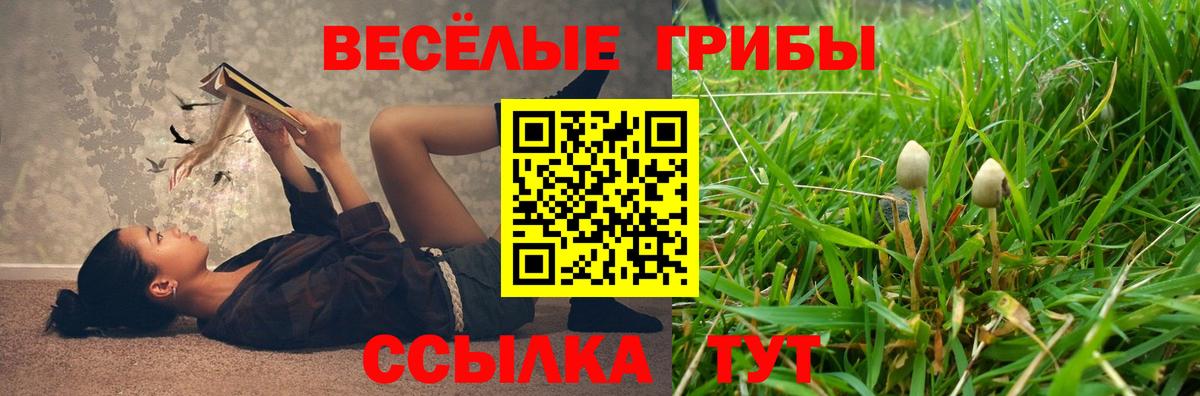Апатиты  Псилоцибиновые грибы MAGIC MUSHROOMS  Псилоцибиновые грибы Cubensis  Вход с VPN 